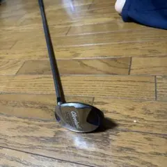 Item thumbnail for item 3ff7b902-da13-4711-8755-29986d476b32