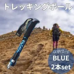 Item thumbnail for item 7d8e140c-0f23-4fbf-802f-6331462f22a2