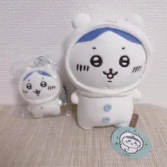 ナガノのくま ハチワレ