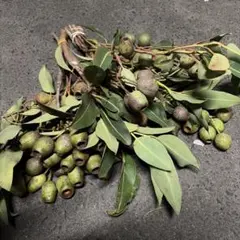 FLEUR8192020様 リクエスト 2点 まとめ商品