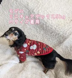 Item thumbnail for item 128bc31f-588d-4ffd-a447-9311a383076e