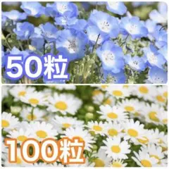 りこ様 リクエスト 3点 まとめ商品