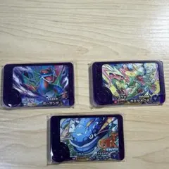 寶可夢朋友 暴飛龍・神龍・海豚俠 組合販售