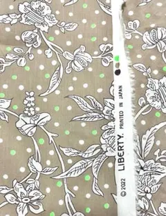 Item thumbnail for item 9b142eaf-10f1-4f9a-8f47-6694140fce7d