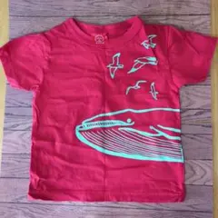 OJICO Tシャツ 4A 95サイズ