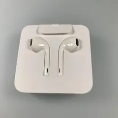 iPhone, iPad用ライティングタイプイヤホンApple純正品(新品)