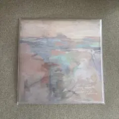 限定盤】haruka nakamura 4P's project レコード - メルカリ