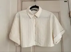 Item thumbnail for item 92dbbee2-11e3-4dbb-93b5-cd3a6420b938