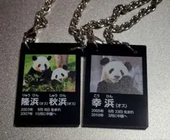 【楓浜】ミニ巾着　電光看板風チャーム　アドベンチャーワールド　先行販売 アドベンチャーワールド 楓浜 パンダ 電光看板風 プレートチャーム