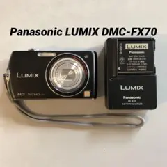 2026年最新】LUMIX DMC-FX70の人気アイテム - メルカリ