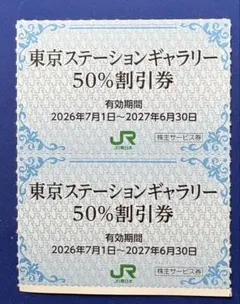 東京ステーションギャラリー入館割引券 JR東日本株主サービス券 2枚セットのサムネイル