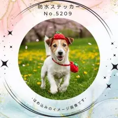 【送料無料❣️】ジャックラッセルテリア防水ステッカー いちごポシェット