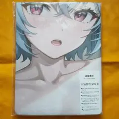 新世紀エヴァンゲリオン綾波レイタペストリーカレンダー非売品