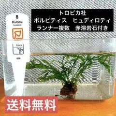2026年最新】ボルビティス ヒュディロティの人気アイテム - メルカリ