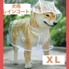 レインコート 犬用 XL カッパ ポンチョ 雨具 ペット お散歩グッズ　防水