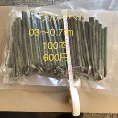 Item thumbnail for item 4dc58378-31b0-42e3-a297-63822d653594