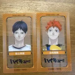 週刊少年ジャンプ クリアSLIMカードコレクション ハイキュー 日向 影山