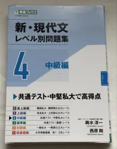新・現代文 レベル別問題集 4 中級編