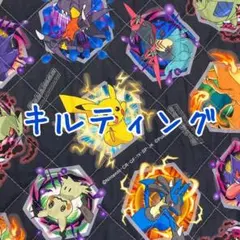 [no.4869]セール☆キルト40㌢☆ポケモン インクジェット 生地＊