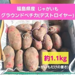 じゃがいも☆箱別23キロ　デストロイヤー（グラウンドペチカ）　愛知県産 2605 福島県産 じゃがいも グラウンドペチカ デストロイヤー 約1.1kg