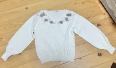 Item thumbnail for item 1e409f85-9181-409c-92c6-17937ba9cd5a