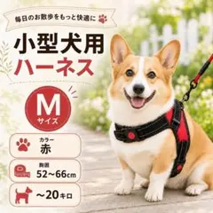 犬用 ハーネス 胴輪 Mサイズ フック付 レッド 赤 散歩 ワンタッチ 負担軽減のサムネイル