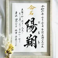 命名書　願いを伝える幸せの命名書　オーダー　メッセージ入り　毛筆　手書き　誕生祝