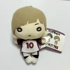 2026年最新】白布 にとたん ぬいぐるみの人気アイテム - メルカリ