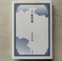 美品 太田螢一 作品集 AMNESIA アムネジア - メルカリ
