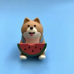 コンコンブル　スイカわんこ
