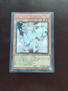 2026年最新】うらら シークレット 絵違いの人気アイテム - メルカリ