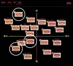 ケイト　リップモンスター　3色セット