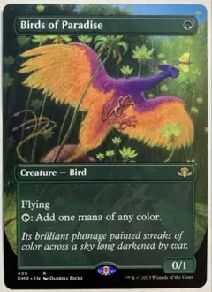 極楽鳥　Birds of Paradise 直筆サイン入りアートプリント １枚 極楽鳥 Birds of Paradise 直筆サイン入りアートプリント 1枚