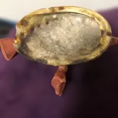 天然貝と木材の装飾品