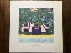 CANTOMA Talva Lumi EP