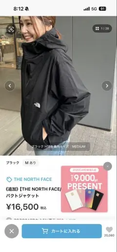 THE NORTH FACE マウンテンパーカーM ブラック