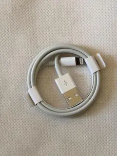 USBライトニング充電ケーブル ホワイト