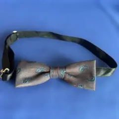 Item thumbnail for item ea08b270-942a-4ffe-8ff9-150777d92a2e