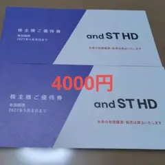 アンドエステイ 株主優待券 4000円分 アダストリアのサムネイル