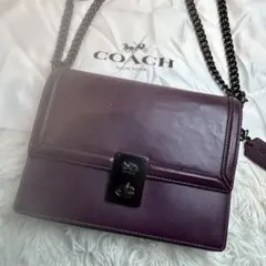 極秘品 コーチ ハットン ショルダーバッグ 2way レザー