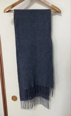 Item thumbnail for item 3e5562d8-92cb-4294-a1ee-c8e9b2632d59