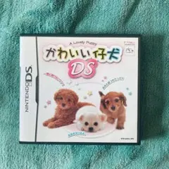 かわいい仔犬DS