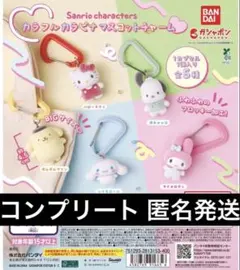 「全5種」 サンリオキャラクターズ カラフルカラビナマスコットチャーム