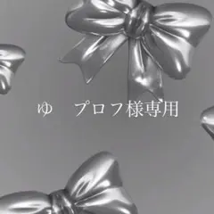 ゆ　プロフ様専用ページ