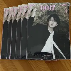 未開封 StrayKids DOIT accordion 6枚セット チャンビン