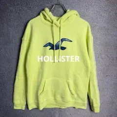 HOLLISTER ロゴグラフィック プルオーバーフーディー Lサイズ 裏起毛