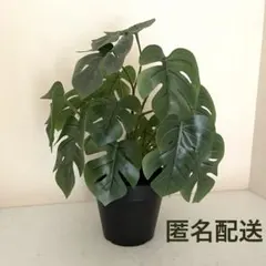 フェイクグリーン ガーデニング