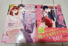 TL小説 文庫 2冊セット