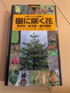 Item thumbnail for item 1fb1672b-4211-4b7a-b974-9a429006d43b