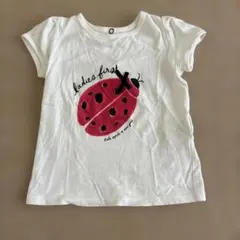 kate spade new york 半袖Tシャツ てんとう虫のサムネイル